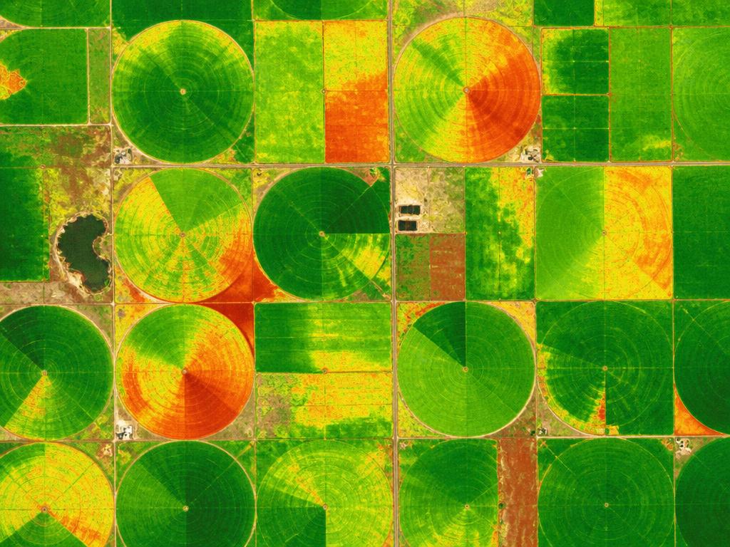 NDVI vegetation health satellite map of a farm field